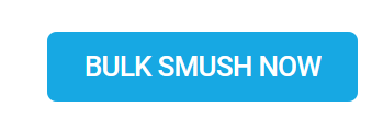 bulk-smush-now